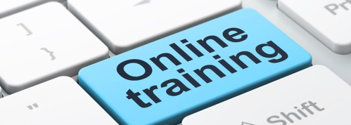 New Service Launched - Online Training
